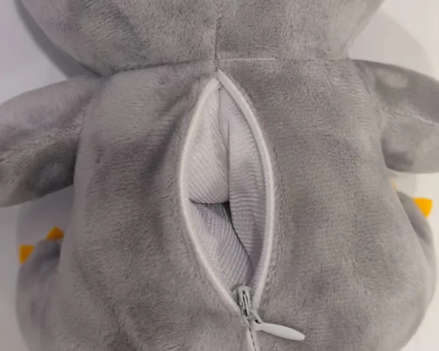 Photo — the hidden back pouch